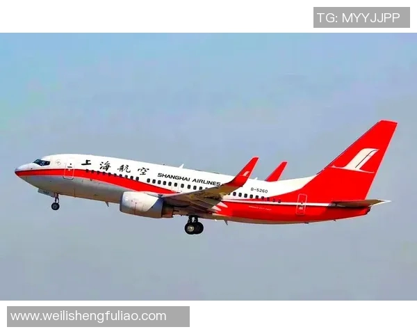 上海排球队逆袭之路揭秘：从低谷到冠军的奋斗历程与荣耀时刻