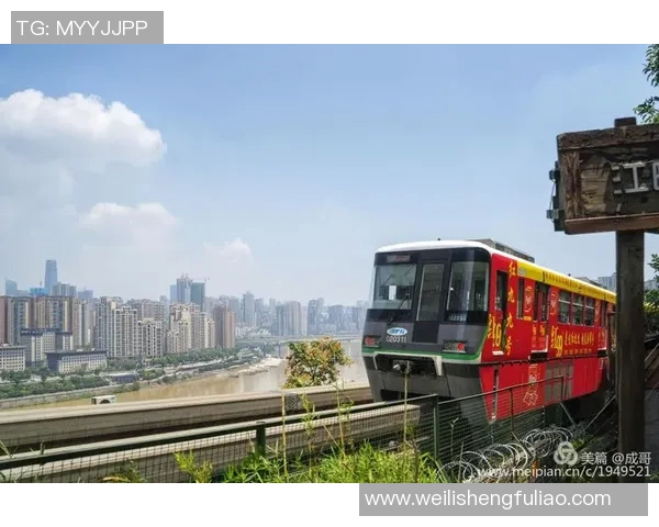 世界锦标赛特别报道:重庆乒乓球队的突破历程 世界锦标赛特别报道:重庆乒乓球队的突破历程