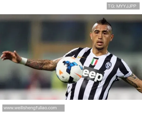 智利足球明星的辉煌历程与成就盘点