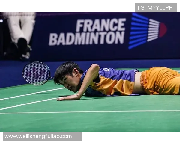 武汉羽毛球队在世界锦标赛中的技术表现分析与总结