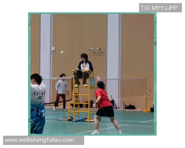 深圳羽毛球队挑战赛背后的奋斗故事与荣耀时刻 深圳羽毛球队挑战赛背后的奋斗故事与荣耀时刻