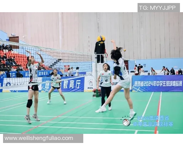 西安排球队逆袭之路揭秘世界锦标赛背后的奋斗与荣耀