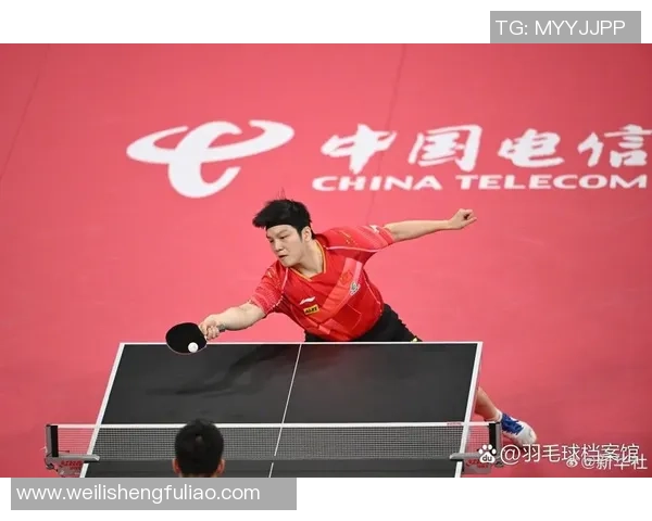 西安羽毛球队在世界杯中的耐力表现分析与启示