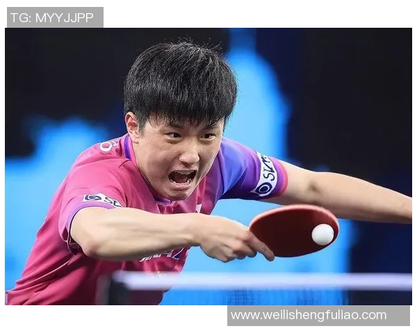 乒乓球深度：解密杭州乒乓球队的区域防守