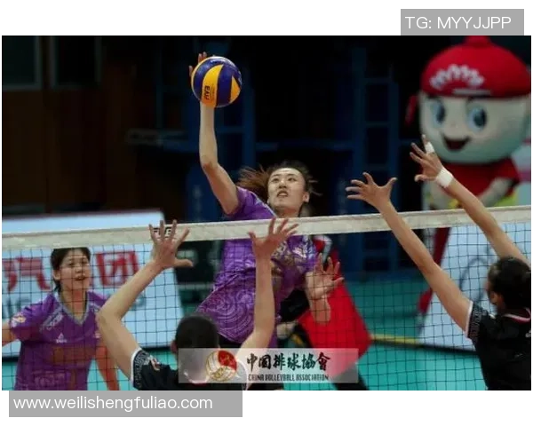 深度对话：杨强的排球人生