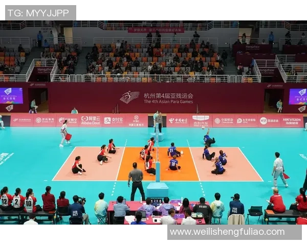 排球纪实：记录杭州排球队的突破历程