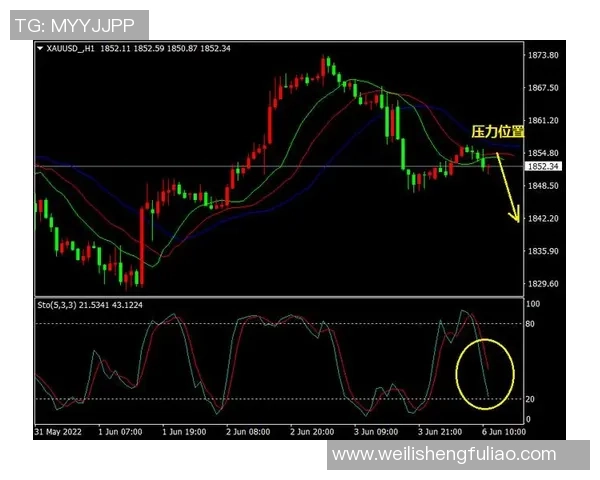 独家分析：西安乒乓球队的战术对比