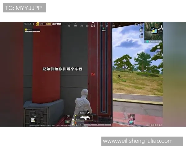 聚焦和平精英：LNG的状态话题