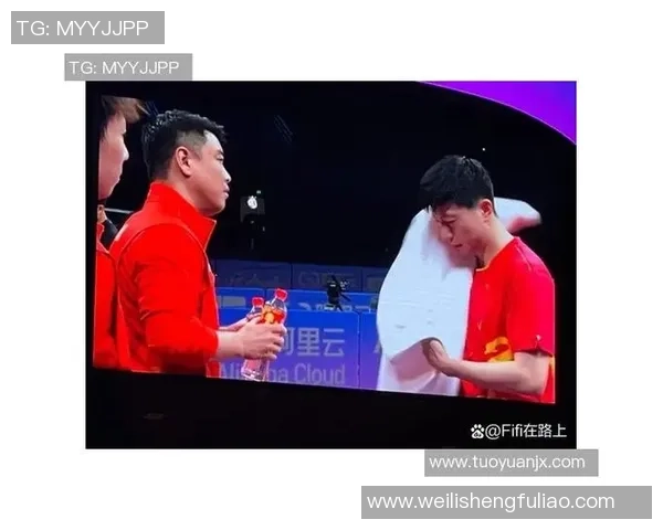 聚焦乒乓球：杭州乒乓球队的耐力话题